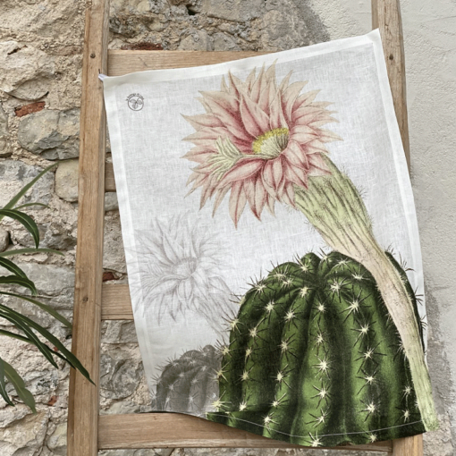 Secador Cactus 1